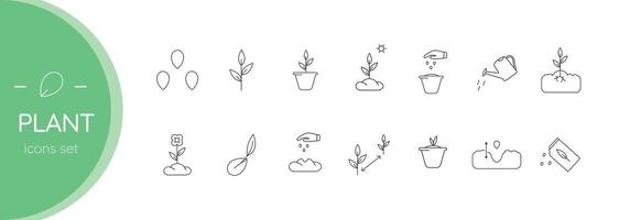 To plant plants. Seedling. Set of vector linear icons.