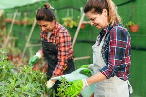 Happy women working together in plants and flowers garden shop photo