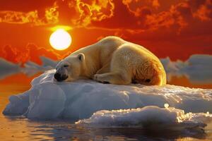 AI generated polar bear and global warming climate change , .World Environment Day concept. generative ai photo