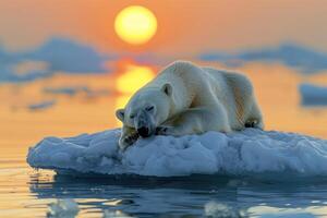AI generated polar bear and global warming climate change , .World Environment Day concept. generative ai photo