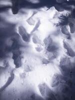 Beautiful snow surface with abstract shadows photo