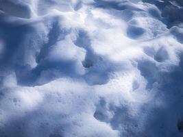 Beautiful snow surface with abstract shadows photo