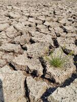 Dry cracked soil texture and background of ground photo