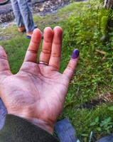 púrpura tinta en dedo después presidencial elección foto