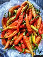 el Fresco rojo caliente chile en el mercado foto