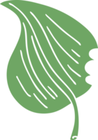 quirky hand drawn cartoon munched leaf png