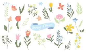 Hand drawn spring and summer flowers and leaves collection. vector