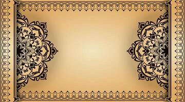 Vintage background, with mandala ornaments vector