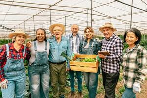 Happy multiracial farmers working inside greenhouse - Farm people cooperative concept photo