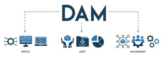 DAM Digital Asset Management Organization banner website icon vector illustration concept icon of digital assets management