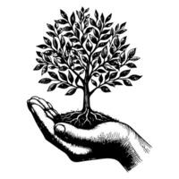 closeup hands holding black line tree sprout growing from soil on hands. Earth planet protection concept day vector