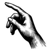 closeup of hand which touch to pointing to something doodle black line style vector illustration