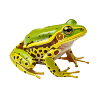 AI generated Frog clip art png