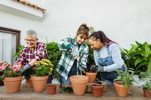 Happy multiracial women gardening together at home photo