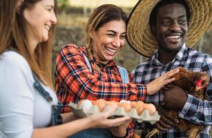 Happy farmers picking up fresh eggs in henhouse garden - Farm people lifestyle concept photo