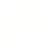 Wasp Chalk Drawing png