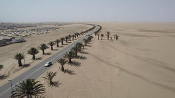 asfalt weg in de woestijn met palm bomen Aan de zijden video