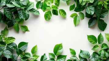 AI generated Abstract background of green leaves on a minimalistic white background with plenty of space for text photo