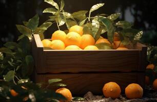 AI generated crate with white tangerines sitting on top photo