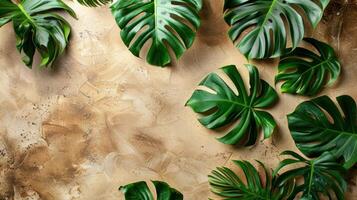 AI generated A minimal summer background featuring Monstera leaves, with space for text photo