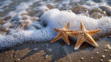 AI generated Starfish on the Beach with copy space. summer time photo