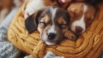 AI generated Adorable puppies snuggled up with their human companions, forming unbreakable bonds of love photo