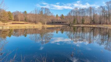 AI generated A crystal-clear pond reflects the azure sky and budding trees, creating a mesmerizing mirror of nature photo