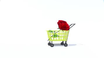 Rose Shopping Cart video