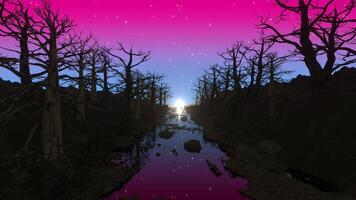 Colorful Night Sky Tree Background video