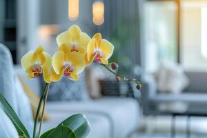 AI generated Beautiful yellow orchid flower close-up in the interior. Back view of blurred light background of modern living room photo