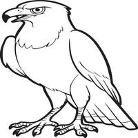 Animals coloring pages. Animal coloring pages for coloring book vector