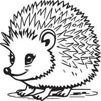 Hedgehog coloring pages. Hedgehog outline vector