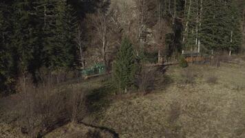 aérien vue de le train monte sur le chemin de fer. drone vol plus de le locomotive et voitures de le étroit jauge chemin de fer. video