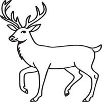 Animals coloring pages. Animal coloring pages for coloring book vector