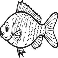 Fish coloring pages for coloring book. Fish outline pages. Fish outline vector