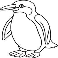 pingüinos colorante paginas pingüinos contorno vector