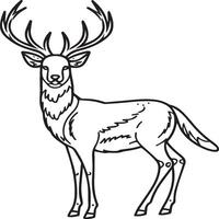 Animals coloring pages. Animal coloring pages for coloring book vector