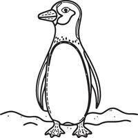 Penguins coloring pages. Penguins outline vector