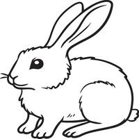 Animals coloring pages. Animal coloring pages for coloring book vector