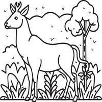 Domestic animals coloring pages. Animal coloring pages for coloring book. Animal outline images. Animal coloring pages vector