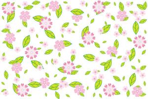 Illustration, pattern abstract of sakura flower and leaves falling on white background. vector