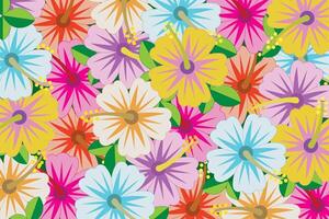 Illustration wallpaper of Multi color the hibisscus flower with leaves on green background. vector