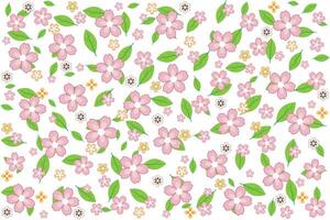 Illustration, pattern of sakura flower and leaf on white background. vector