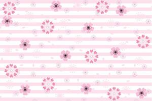 Illustration, pattern abstract of sakura flower and petals falling with light pink line on white background. vector