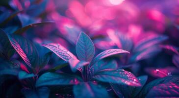 ai generado un interior jardín lleno de verde plantas debajo de colores luces foto