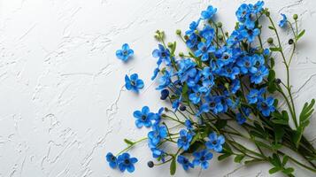 AI generated A bouquet of forget-me-not flowers lies on the left on a white minimalistic background photo