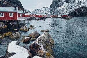 nusfjord pescar pueblo en Noruega foto