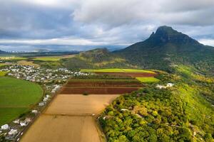 View from the height of the sown fields located on the island of Mauritius photo