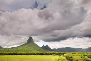 ver desde el altura de el sembrado campos situado en el isla de Mauricio foto