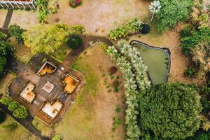 botánico jardín en el paraíso isla de mauricio Mauricio isla en el indio Oceano foto